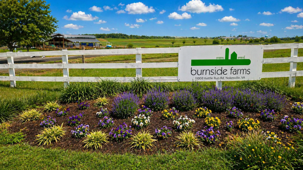 burnside farms nokesville va